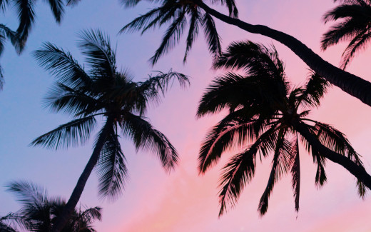 1422152 (a): :2560x1600